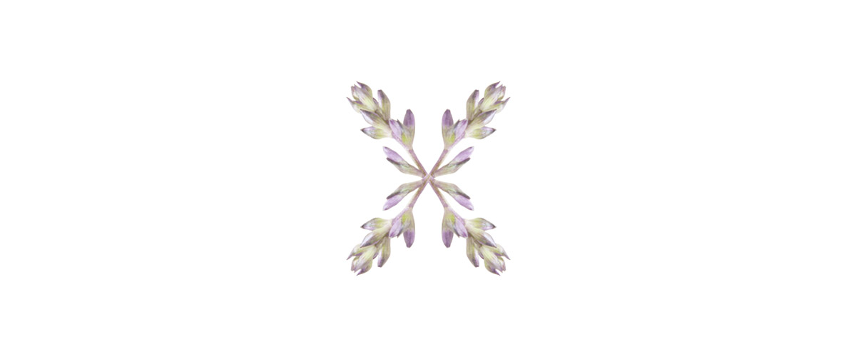 Works Graphics